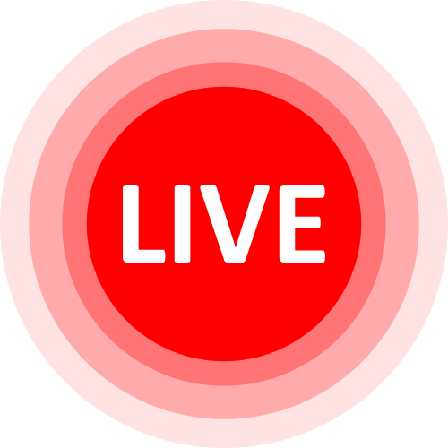 Kittenlive Cam
